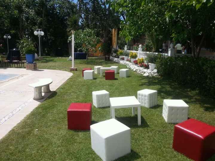 zona coktel