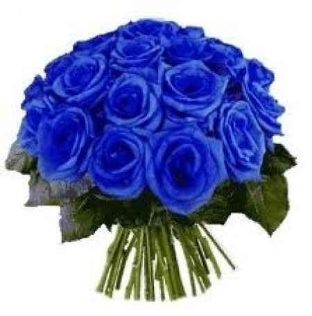 Rosas azules