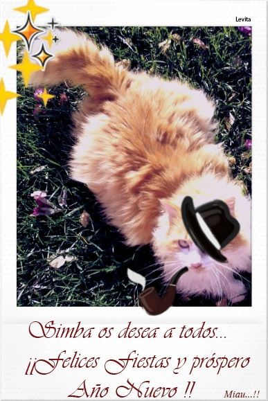 Simba os desea felices fiestas
