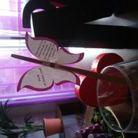 Mariposas diy - 1