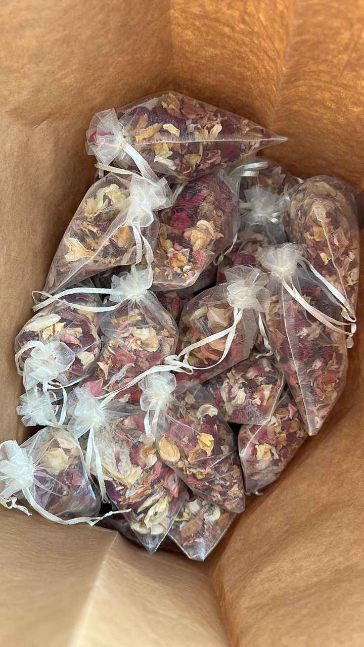 Petalos para la salida - 1