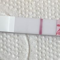 ¿Test embarazo positivo?? - 1