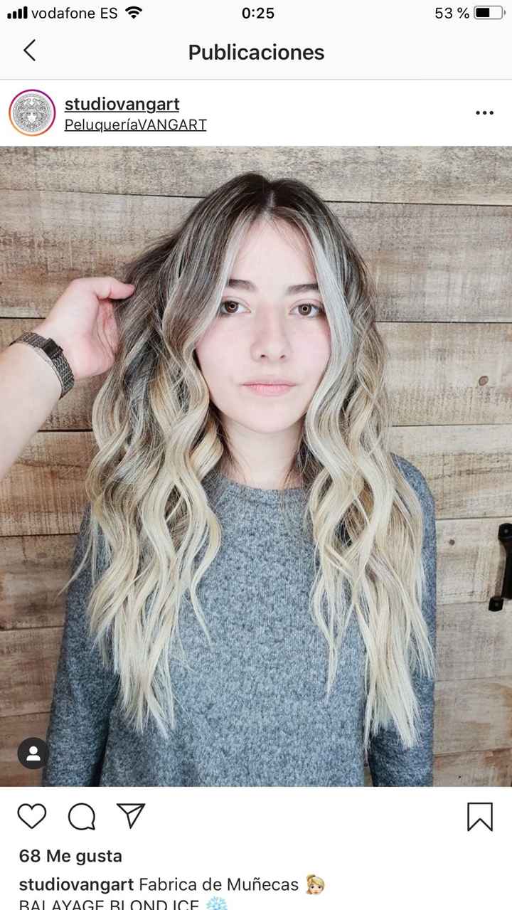 Disgusto mechas balayage - 1