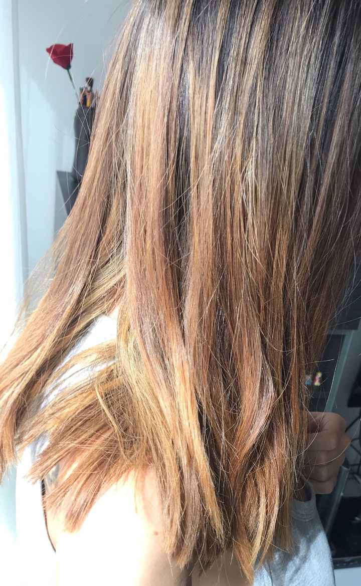 Disgusto mechas balayage - 6