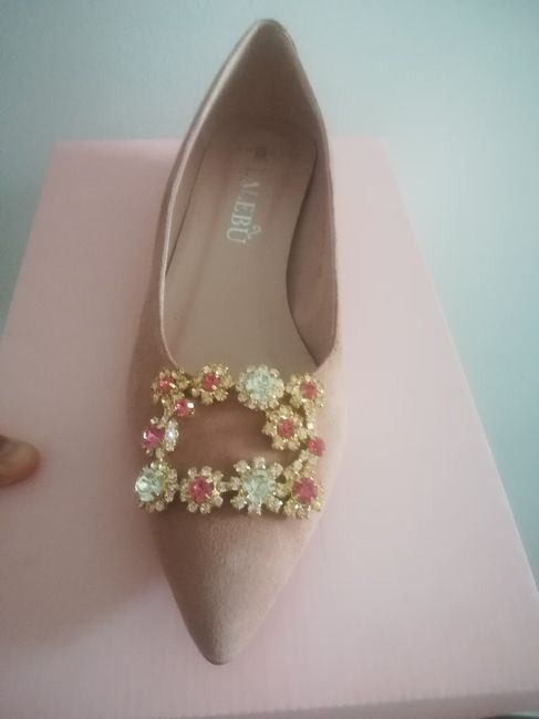 Zapato plano 5