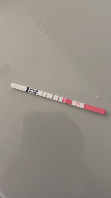 Necesito ayuda con los test de ovulacion - 1
