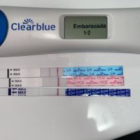 ¿A cuántos dias dpo visteis el positivo? - 2