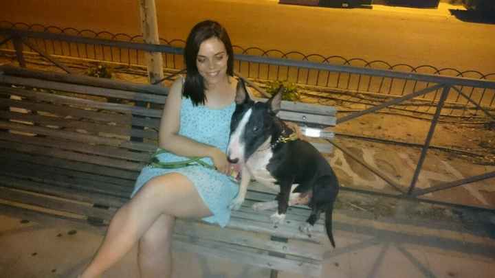 Nuestras mascotas!! - 1