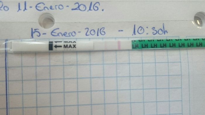 Decálogo de las gráficas de temperatura basal - 1