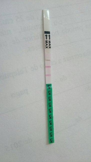 Resuelvo dudas sobre los to (test de ovulacion) - 1