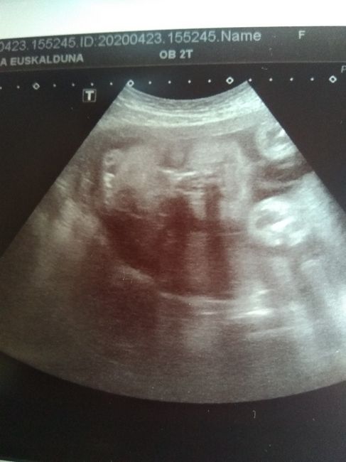 Futuras Mamás Junio 2020 v2.0 1