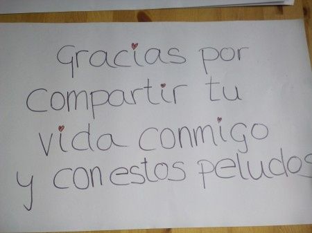 sorpresa