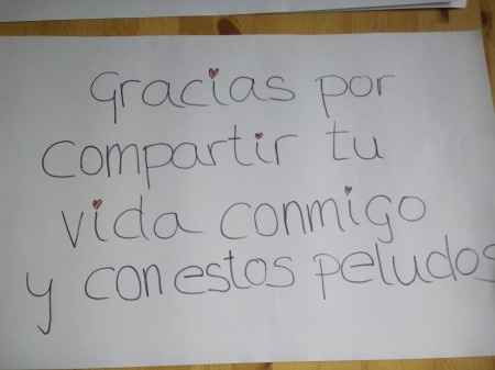 sorpresa