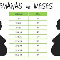 semanas meses