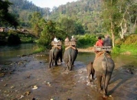 Excursion en elefante