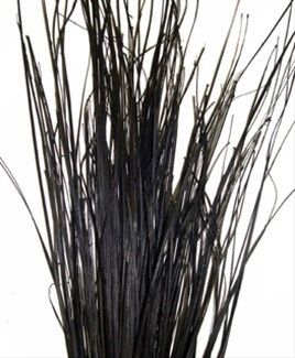 Beargrass negro