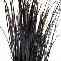 Beargrass negro