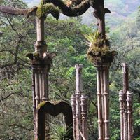 ¡Comparte tu momento de la pedida mediante fotos! - 3