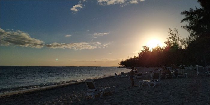 Novi@s Islas Mauricio 2019: ¡Preséntate! 2
