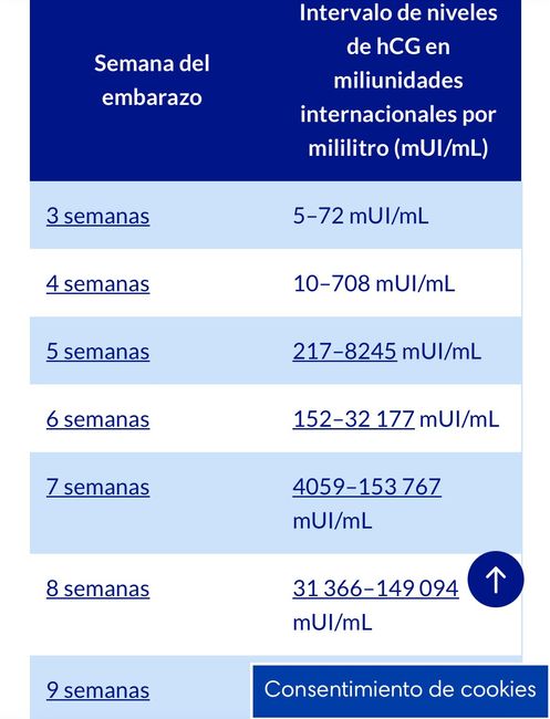 Mamis Marzo 2025 1