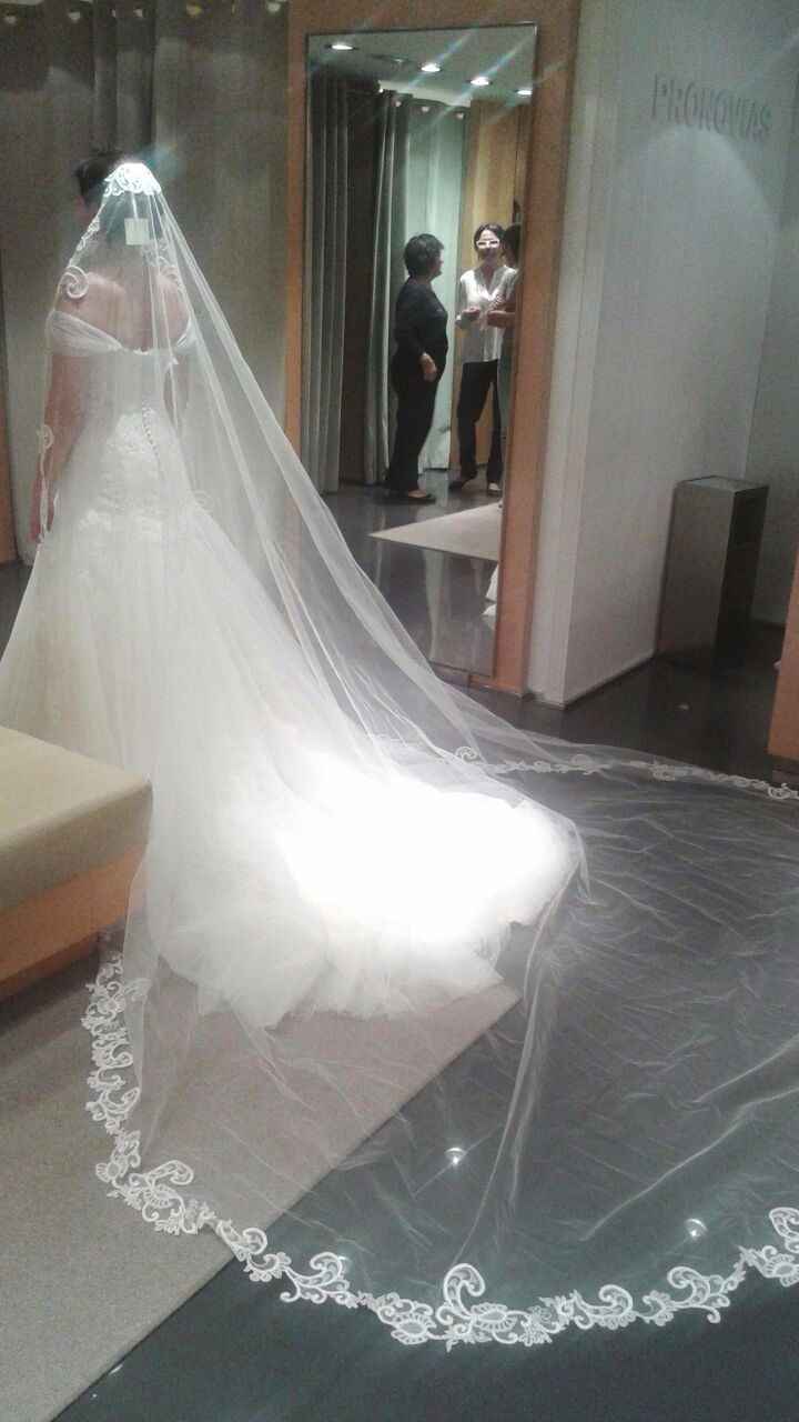velo  y vestido por detras