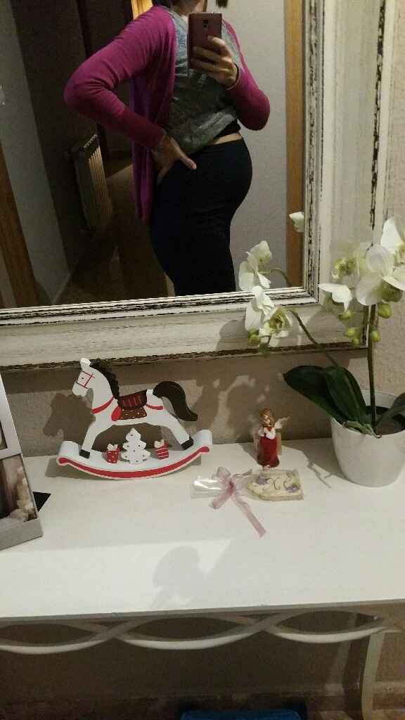 Barriguita 19+4