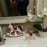 Barriguita 19+4