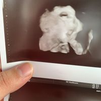 Mamas Febrero 2020 - 2