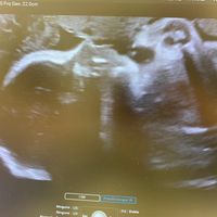 Mamas Febrero 2020 - 1