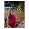Martina