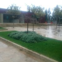 Novios que nos casamos el 22 de Julio de 2017 en Albacete - 5