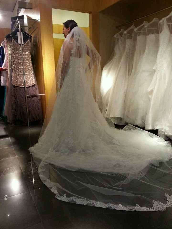 Velo pronovias, alguien lo tiene? - 1