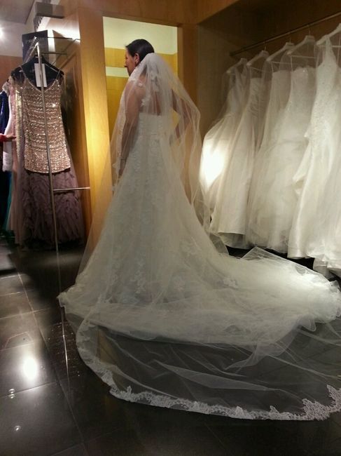 Velo pronovias, alguien lo tiene? - 1