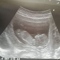 Mamas Febrero 2020 - 1