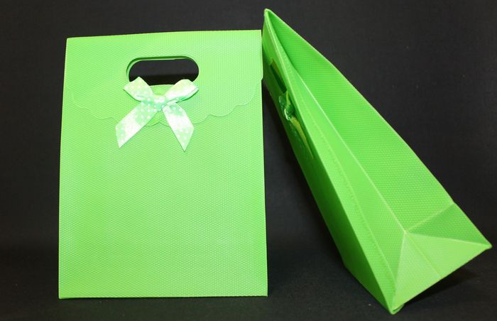bolsa detalles verde