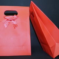 bolsa detalles roja