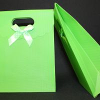 bolsa detalles verde