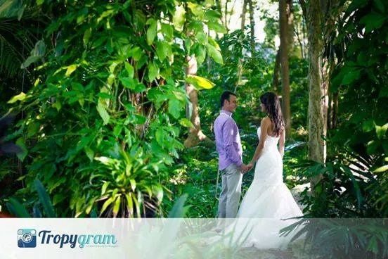 post boda en Punta Cana
