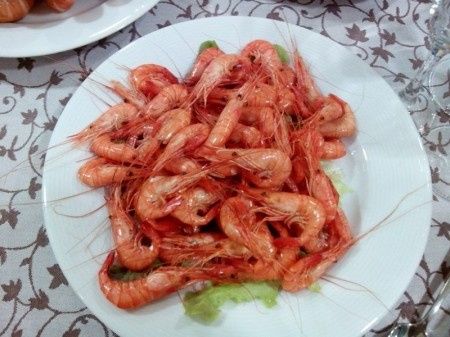 Camarón