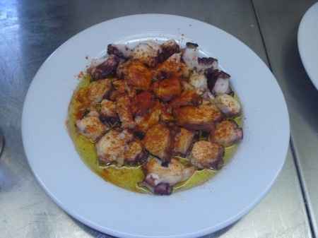 Pulpo