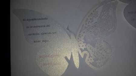 mariposa 1