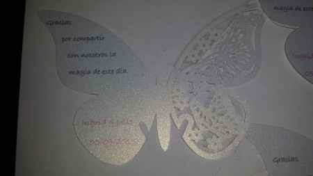 mariposa 3