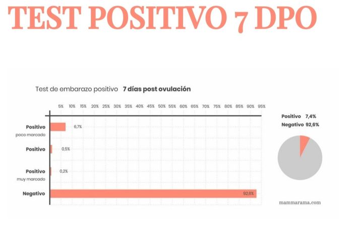 Buscadoras Noviembre 2022 3