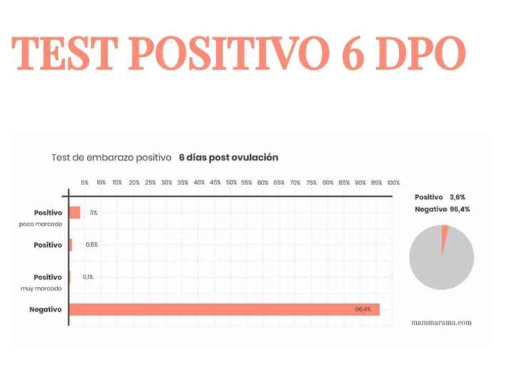Buscadoras Noviembre 2022 - 1