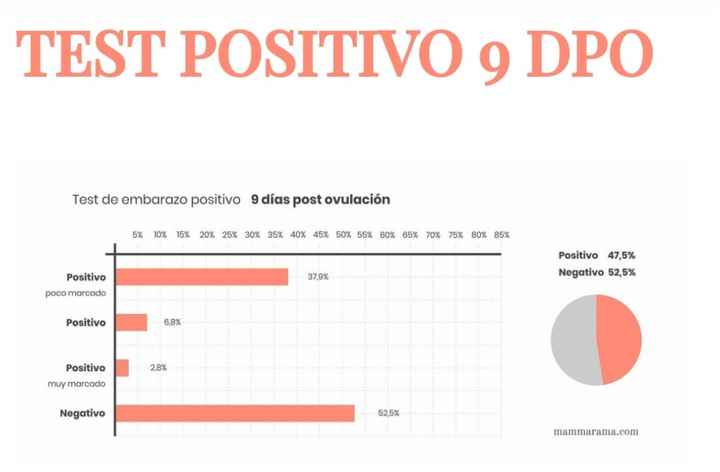 Buscadoras Noviembre 2022 - 4