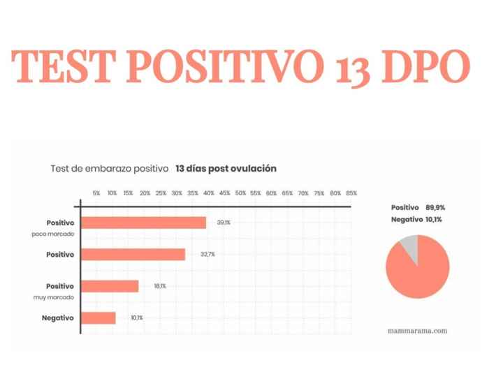Buscadoras Noviembre 2022 - 8