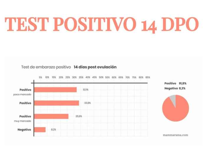 Buscadoras Noviembre 2022 - 9