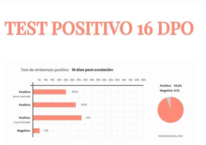 Buscadoras Noviembre 2022 - 11