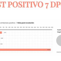 Buscadoras Noviembre 2022 - 2