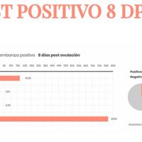Buscadoras Noviembre 2022 - 3
